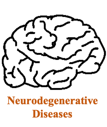 Neurodegenerative Diseases